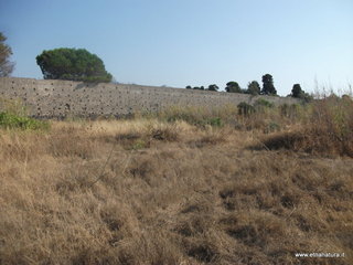 rco archeologico Naxos-22-07-2015 08-55-08